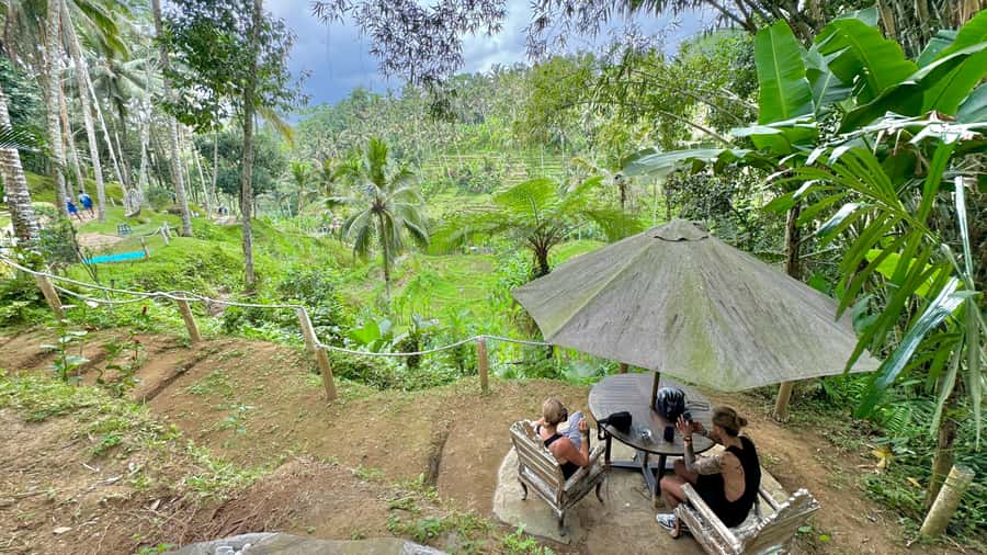Bali:Traditional Wedding Photoshoot with the Rice Field View - U Fun Field beyond the photographs