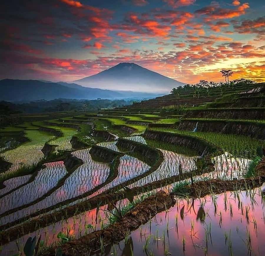 Bali: Trip to Tirta Gangga Palace and Tukad Cepung Waterfall - What the $61 price really covers