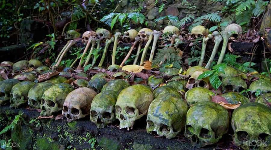 Bali: Trunyan Cemetery, Hot Springs, and Penglipuran Village - Why Trunyan gives this day its purpose