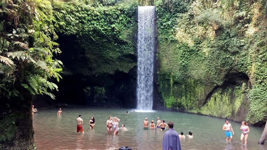 Bali: Trunyan Cemetery, Hot Springs, and Penglipuran Village - Penglipuran Village, where the layout matters