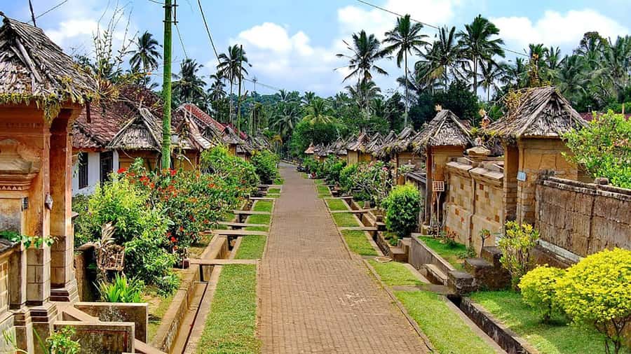Bali: Trunyan Cemetery, Hot Springs, and Penglipuran Village - What the $92 price includes