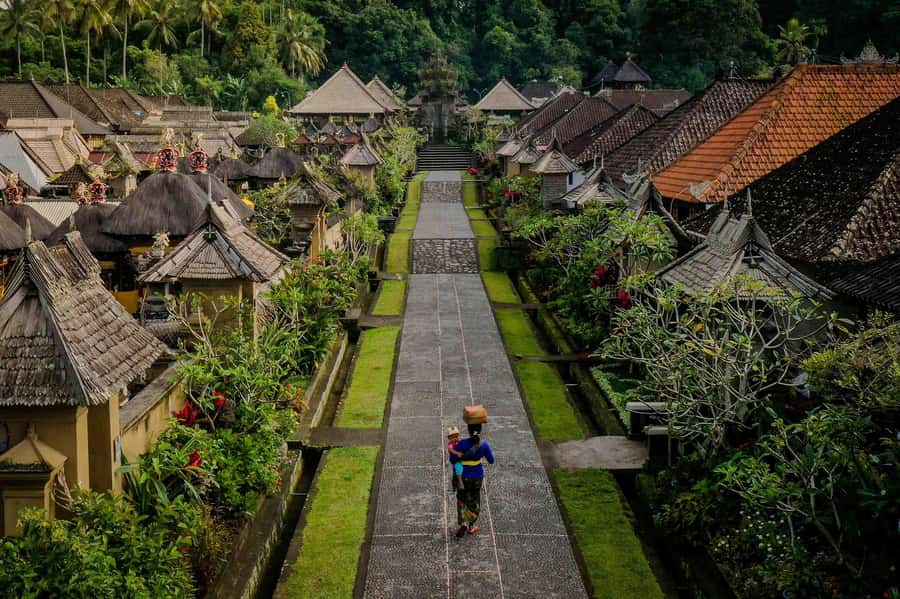 Bali: Trunyan Cemetery, Hot Springs, and Penglipuran Village - Who should take this tour
