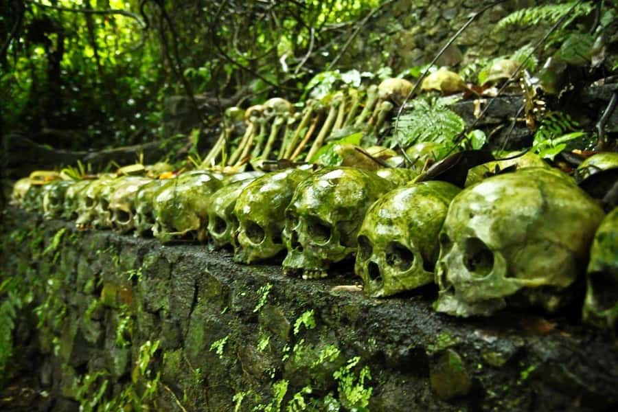 Bali: Trunyan Cemetery, Hot Springs, and Penglipuran Village - Crossing Lake Batur to Trunyan Village