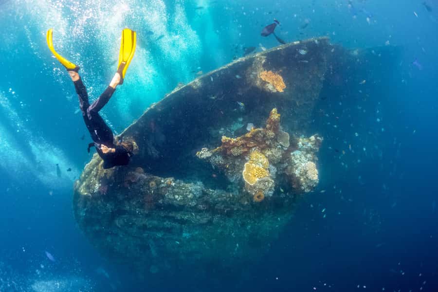 Bali: Tulamben Bay and the USAT Liberty Wreck Dive - Two sessions on the wreck, with lunch between