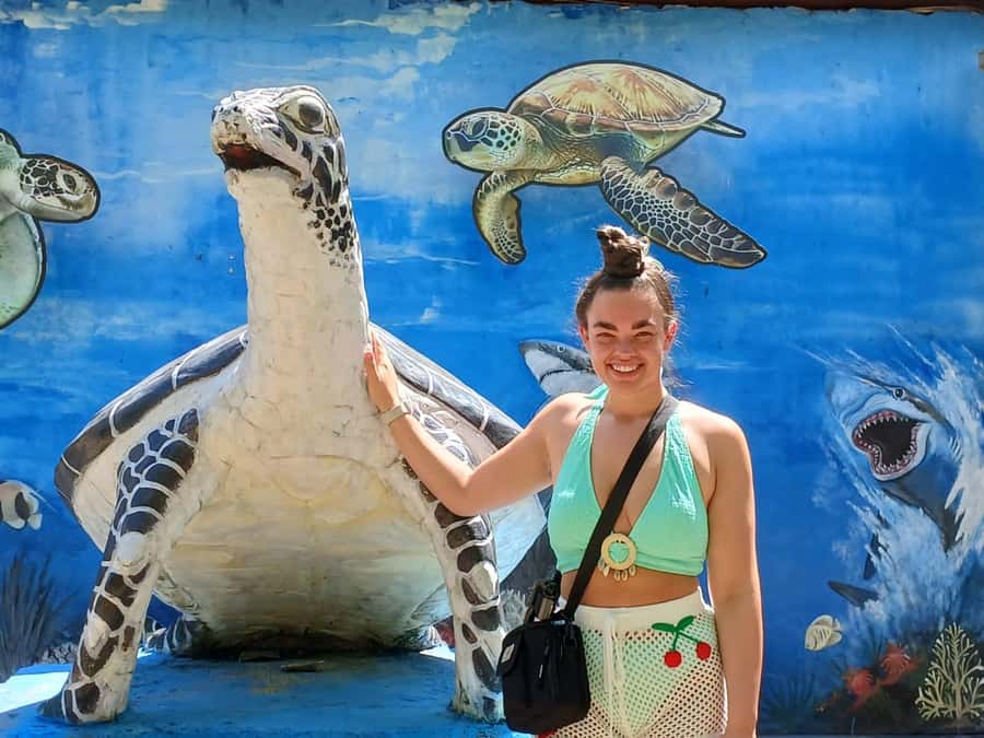 Bali: Turtle Conservation and Education Tour & Local Market - Should you book the turtle and market tour?