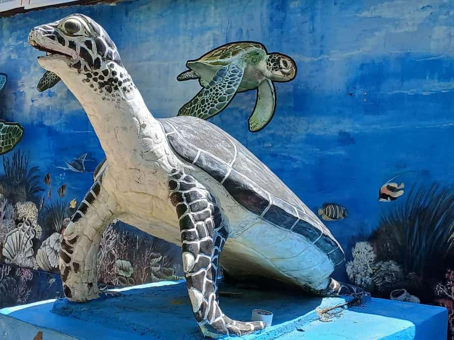 Bali: Turtle Conservation and Education Tour & Local Market - Why the turtle centre is the heart of the day