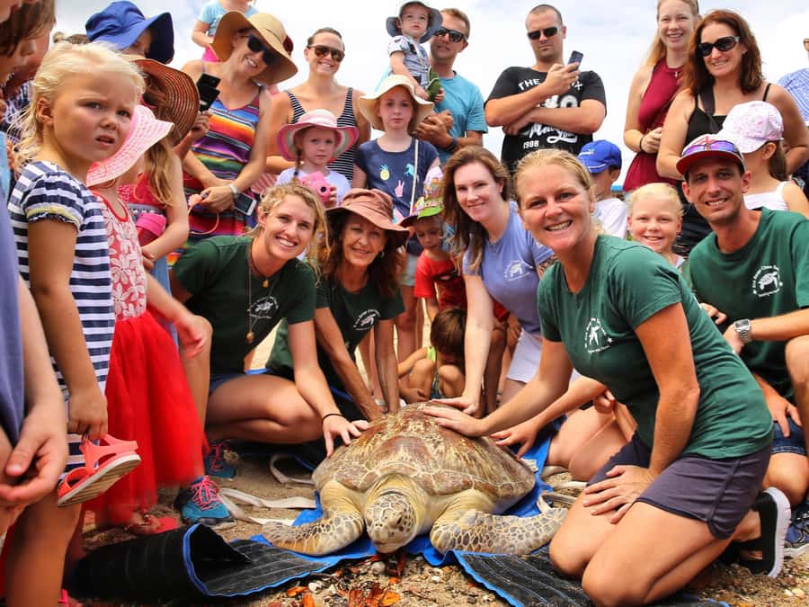Bali: Turtle Conservation and Education Tour & Local Market - Who will enjoy this tour most