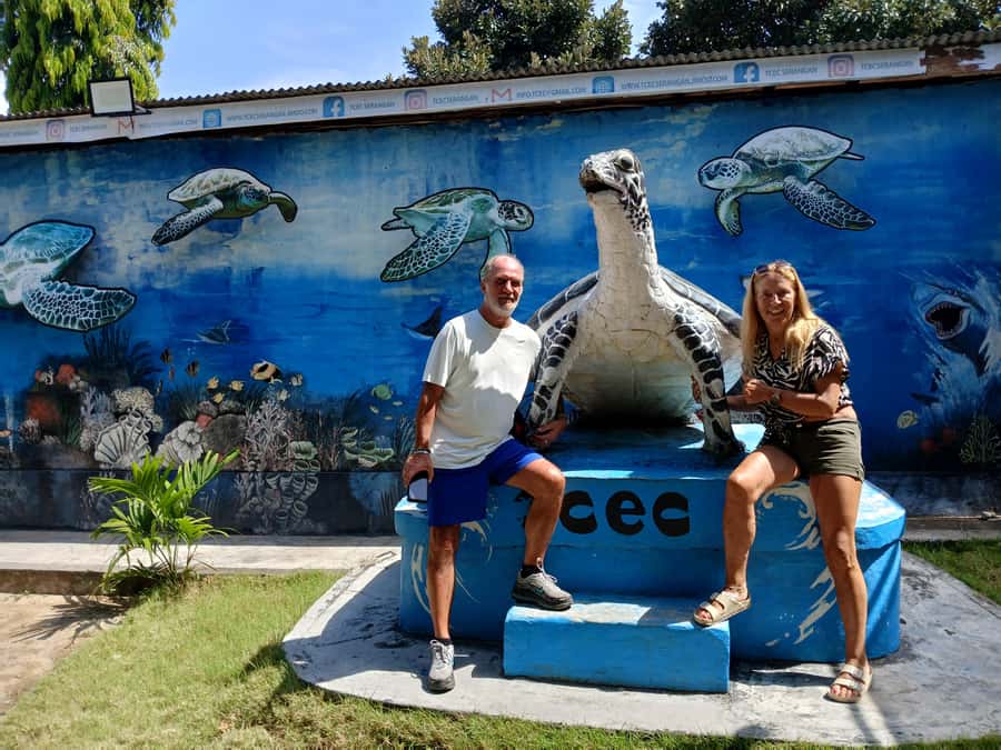Bali: Turtle Conservation and Education Tour & Local Market - Simple ways to make the day better