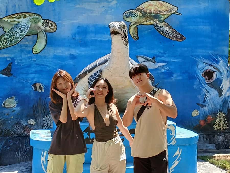 Bali: Turtle Conservation and Education Tour & Local Market - The private car makes the six-hour schedule easier