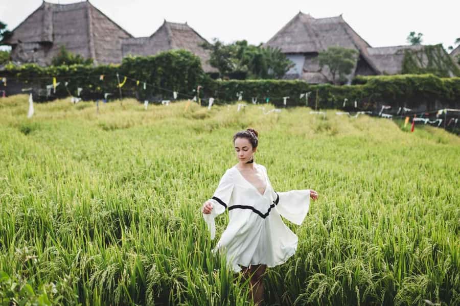 Bali: Ubud and Tanah Lot Small Group Guided Tour - What $55 really gets you