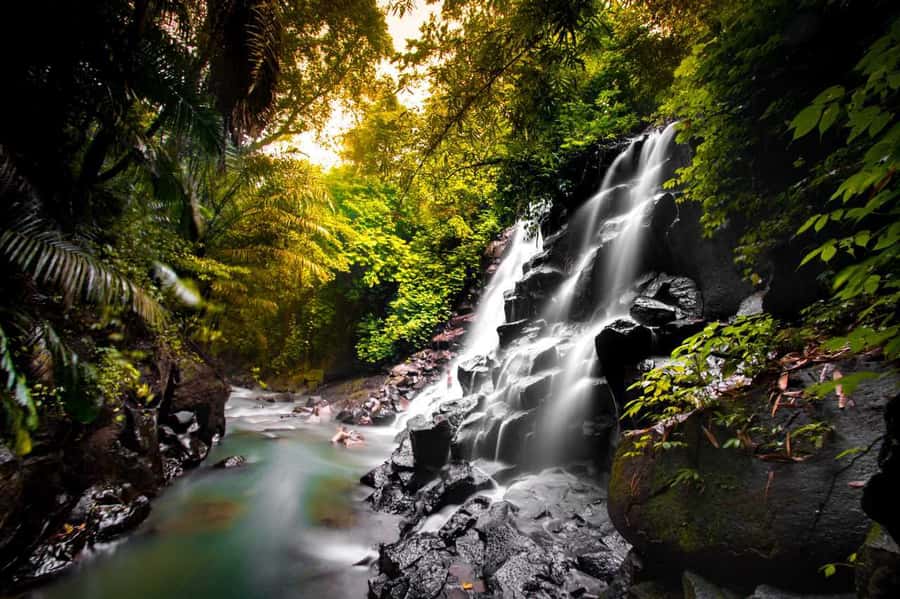 Bali: Ubud and Tanah Lot Small Group Guided Tour - A full day from Barong mythology to Tanah Lot