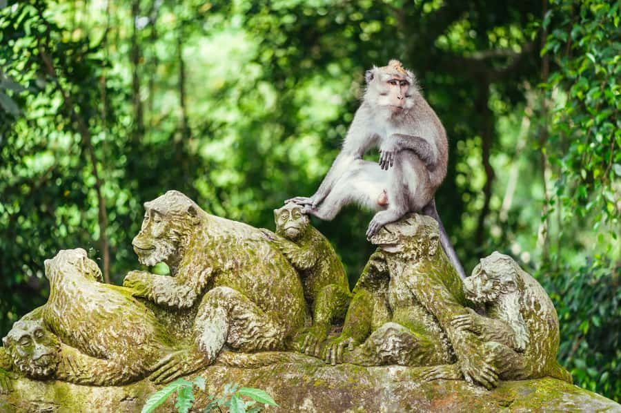 Bali: Ubud and Tanah Lot Small Group Guided Tour - Lunch at a local Balinese restaurant