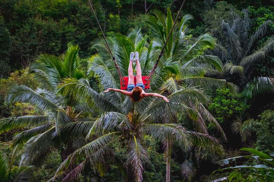 Bali: Ubud and Tanah Lot Small Group Guided Tour - Ubud Monkey Forest: sacred woodland with grabby residents