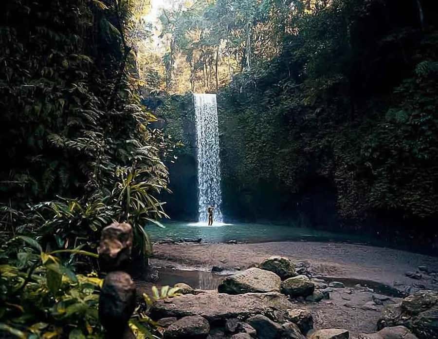Bali: Ubud Day Tour with Swing and Zipline - Tirta Empul Temple and the sacred water ritual