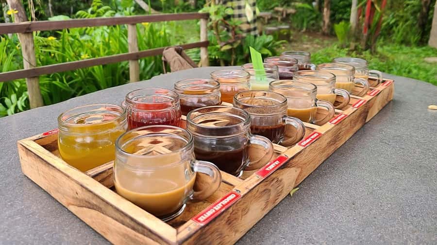 Bali: Ubud Day Tour with Swing and Zipline - Pemulan Bali Coffee Plantation: a gentler stop