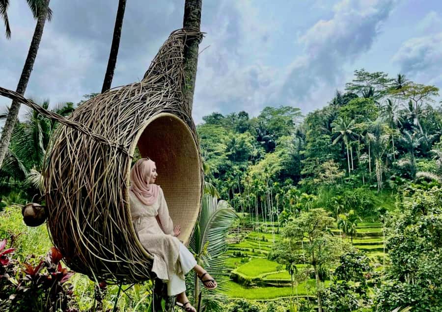 Bali/Ubud: Kanto Lampo Waterfall, Monkey Forest & Swing Tour - Tegallalang swing: the high point of the day