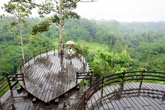 Bali Ubud & Kintamani Volcano Tour -All Inclusive - Kintamani and the Mount Batur view