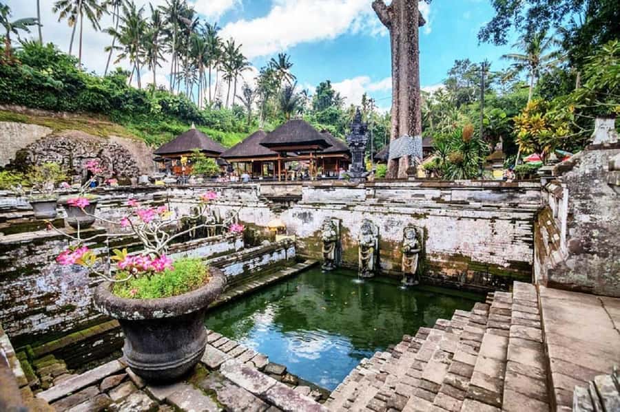 Bali: Ubud, Monkey Forest, Ancient Temple, Waterfalls - What the $36 price really covers
