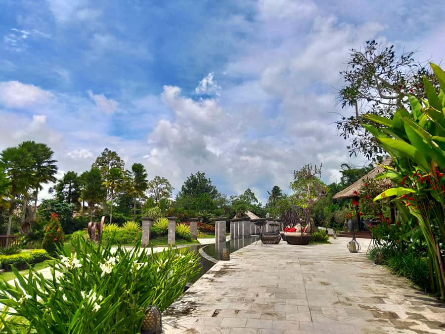 Bali: Ubud, Monkey Forest, Ancient Temple, Waterfalls - A full day from your hotel to the Ubud area