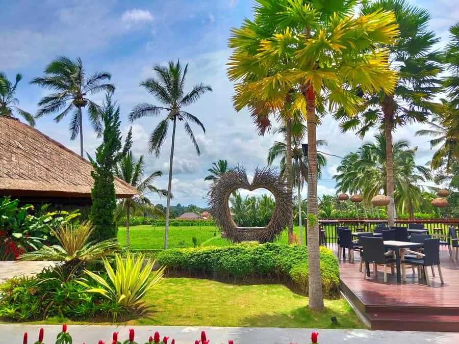 Bali: Ubud, Monkey Forest, Ancient Temple, Waterfalls - Lunch with a Balinese view