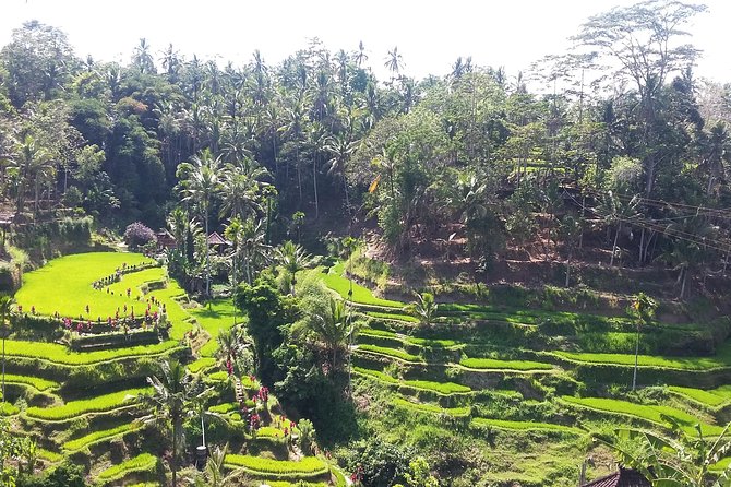 Bali Ubud Private Costomized Tour - Explore Bali your way - Batuan Temple and Balinese religious life