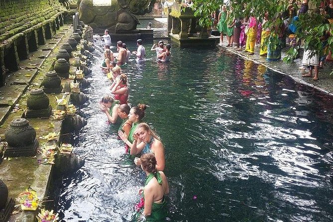 Bali Ubud Private Costomized Tour - Explore Bali your way - Coffee tasting and included Balinese lunch