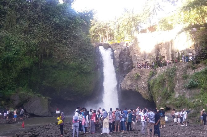 Bali Ubud Private Costomized Tour - Explore Bali your way - Sacred Monkey Forest and its temple setting