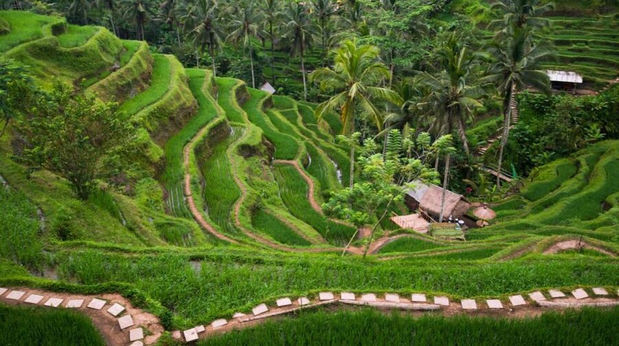 Bali: Ubud, Tegalalang, and Tanah Lot Temple Day Trip - Tanah Lot at sunset