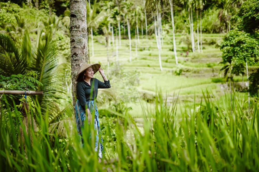Bali: Ubud, Tegalalang, and Tanah Lot Temple Day Trip - What the guides add to the day