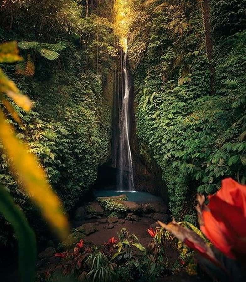 Bali:Ulun Danu, Waterfalls, Handara Gate, Cofee Planta Tour - Handara Gate in a 30-minute photo stop