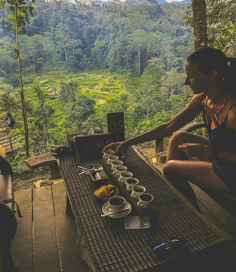 Bali:Ulun Danu, Waterfalls, Handara Gate, Cofee Planta Tour - Banyumala Waterfall and its forest pool