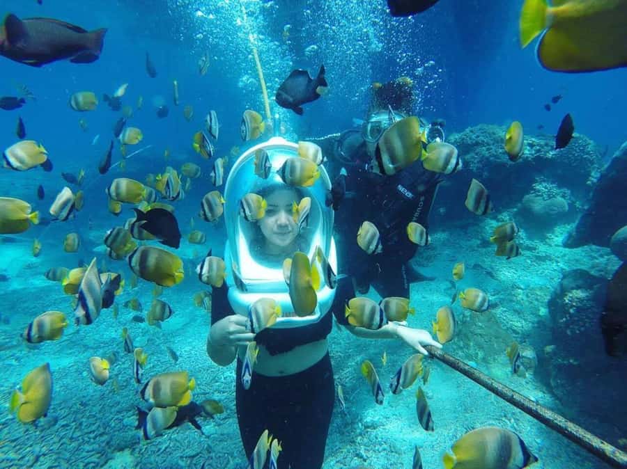 Bali: Underwater Sea Walk, Uluwatu Temple, and Kecak Dance - Practical ways to make the day easier