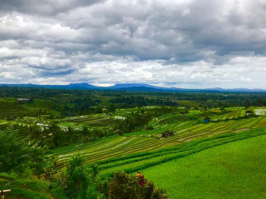 Bali UNESCO Sites: Private Guided Full-Day Tour - Who should book this tour?