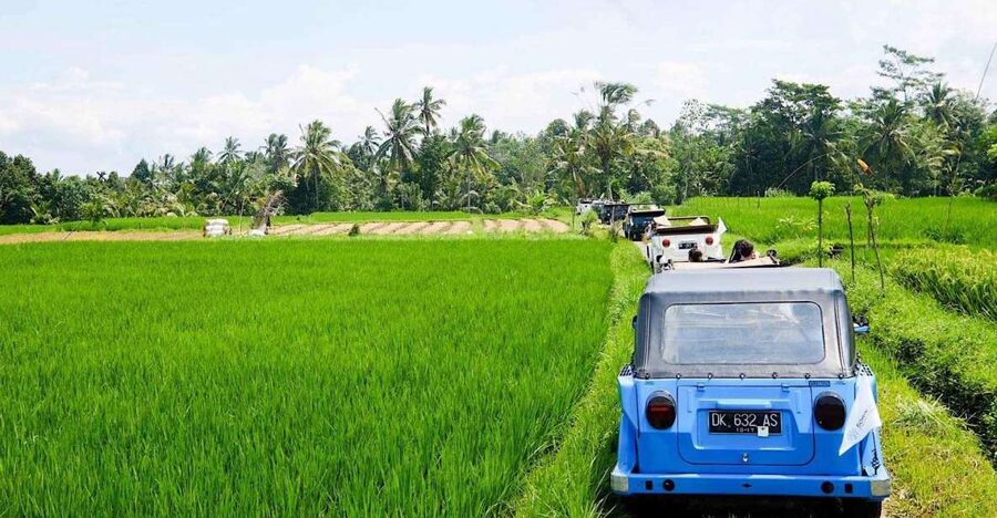 Bali: Vintage VW Jeep Countryside Safari - Pejaten Village and the work of local potters