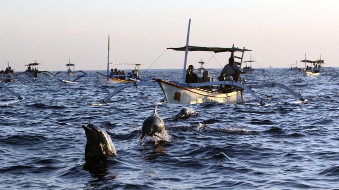 Bali Watching Dolphin at Lovina Beach & aling aling waterfall - Breakfast after the sea outing