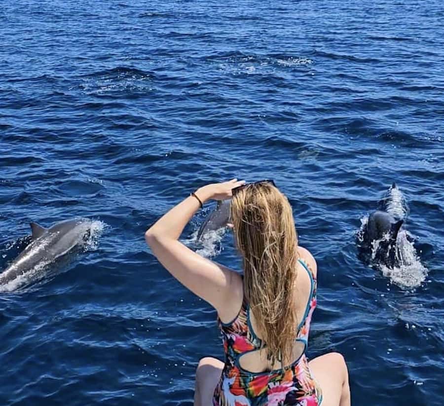 Bali: Watching Dolphin, Swimming & Snorkeling Tour - Swimming near the dolphins