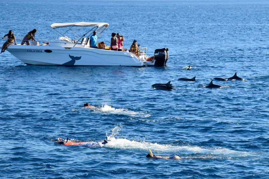 Bali: Watching Dolphin, Swimming & Snorkeling Tour - Guides who make the morning easier