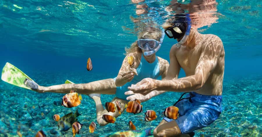 Bali: Watching Dolphin, Swimming & Snorkeling Tour - Who should book this tour?