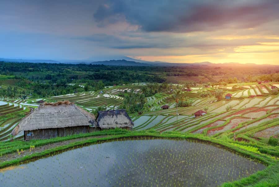 Bali: Water Temple, Waterfalls and Unesco Rice Terrace Tour - What to bring for a 10-hour outing