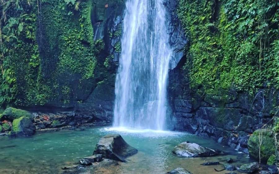 Bali Waterfall Tour with Lunch Views of Mount Batur - Who will get the most from this tour?