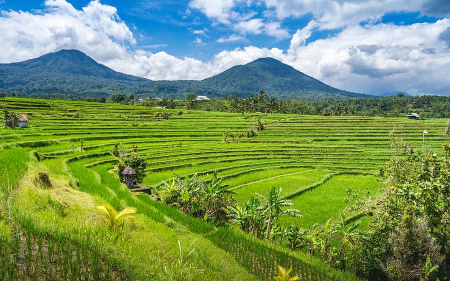 Bali: Waterfalls, Temples, and Rice Terraces Scenic Tour - Tanah Lot works best near sunset