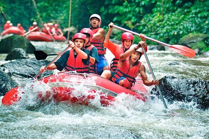 Bali White Water Rafting on Ayung River with Lunch - Why the Ayung River makes a good first rafting trip