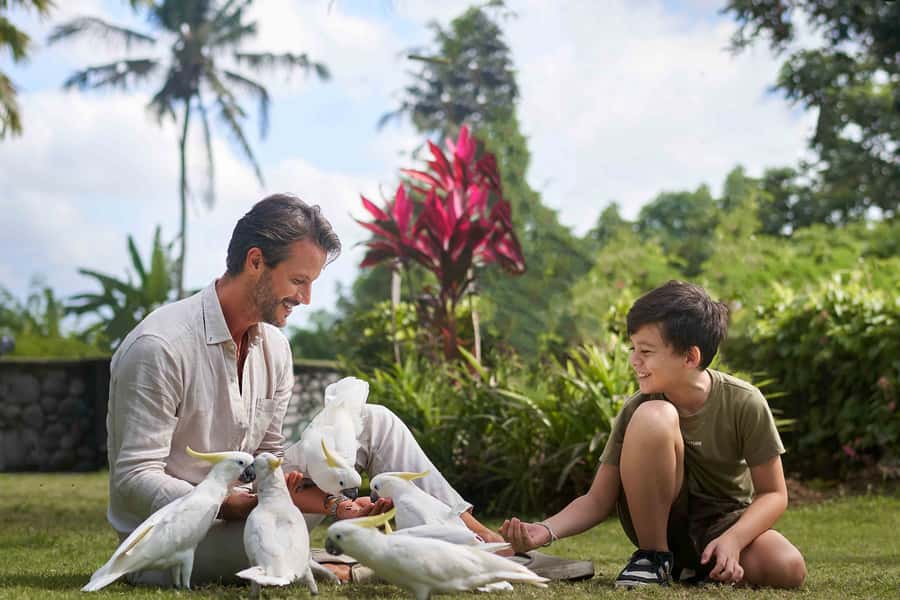 Bali Zoo: Breakfast with the Orangutans - Is the $49 price good value?