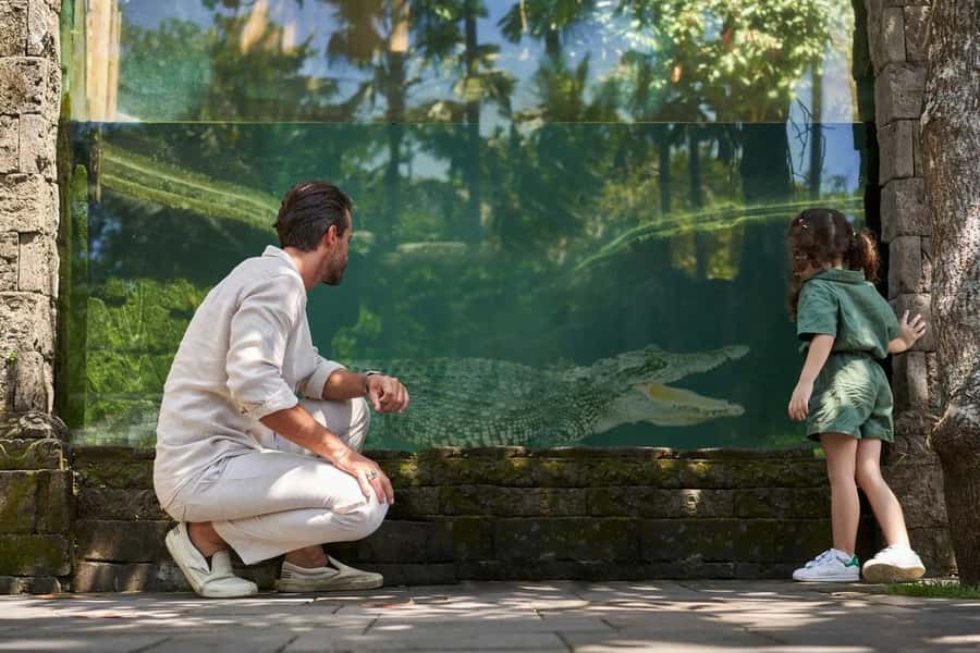 Bali Zoo Entrance Ticket - Animal welfare and the limits of a zoo visit