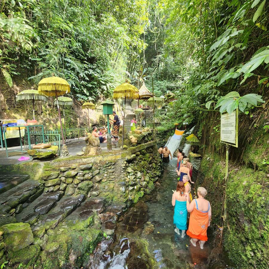 Balinese Purification at holy water temple with Local - What Melukat Means at Sebatu Temple