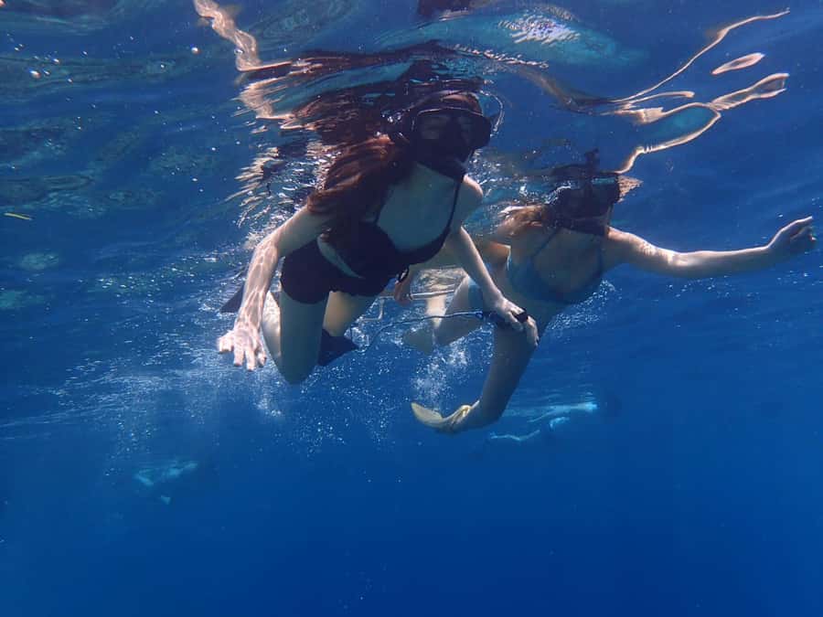 Basic Snorkeling Menjangan Island - Two underwater stops, not all eight