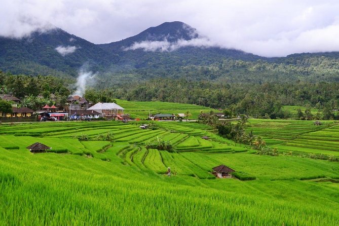 Beauty Of West Bali Tour (Private and All Inclusive) - Jatiluwih Rice Terraces: give the morning room