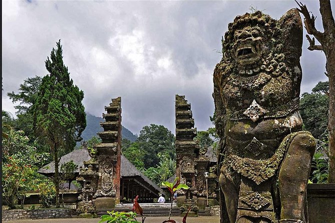 Beauty Of West Bali Tour (Private and All Inclusive) - The Luwak coffee stop and what to expect