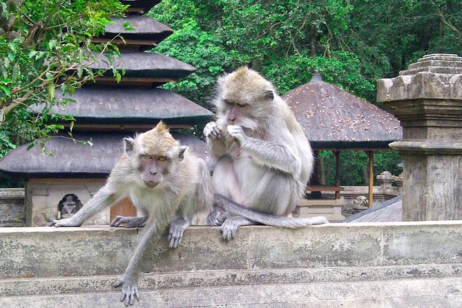 Best Bali Package Tour: 4 Days with Airport or Hotel Transfer - Day 1: From the airport to Uluwatu and Jimbaran
