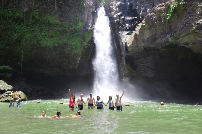 Best Bali Private Customize Tour - Alas Harum for Coffee, Tea, and Garden Views